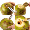 Stainless Steel Coconut Opener Opening Driller Kitchen Cooking Tools Fruit Cut Knife