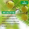 Oilanic Pure & Natural kaolin Clay & Amla Powder(Pack of 2)