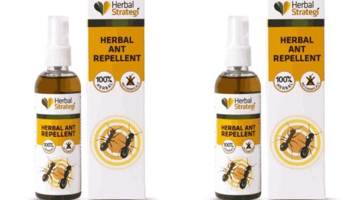 HERBAL STRATEGI Ant Repellent Spray Non-Toxic 100% Herbal Stain Free  (100 ml) (Pack of 2)